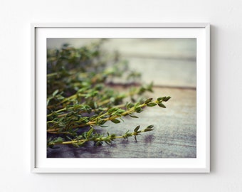 Thyme Print, Fresh Herbs, Rustic Kitchen Decor, Food Photography, Still Life, Spices Wall Art, Farmhouse Kitchen Print