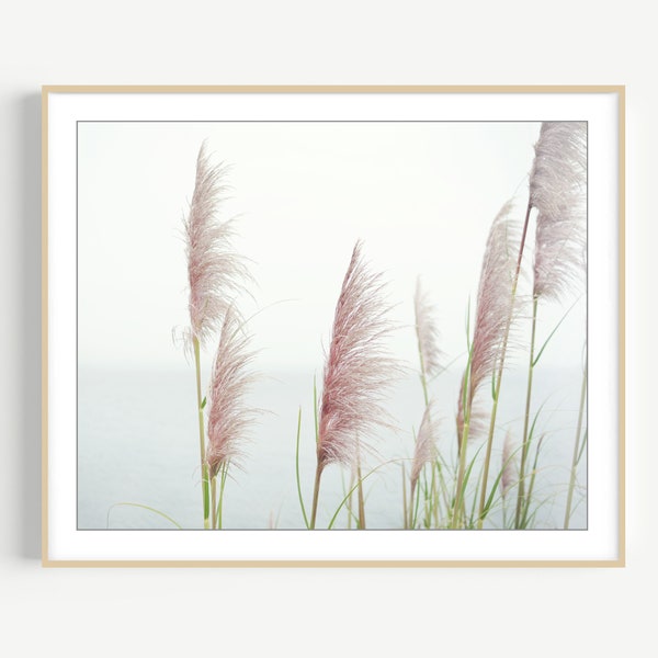 Beach Grass Photography Print - Coastal Wall Art, Seagrass, Pastel Blush Pink Wall Art, Pampas Grass, Ocean Nature Photography, California