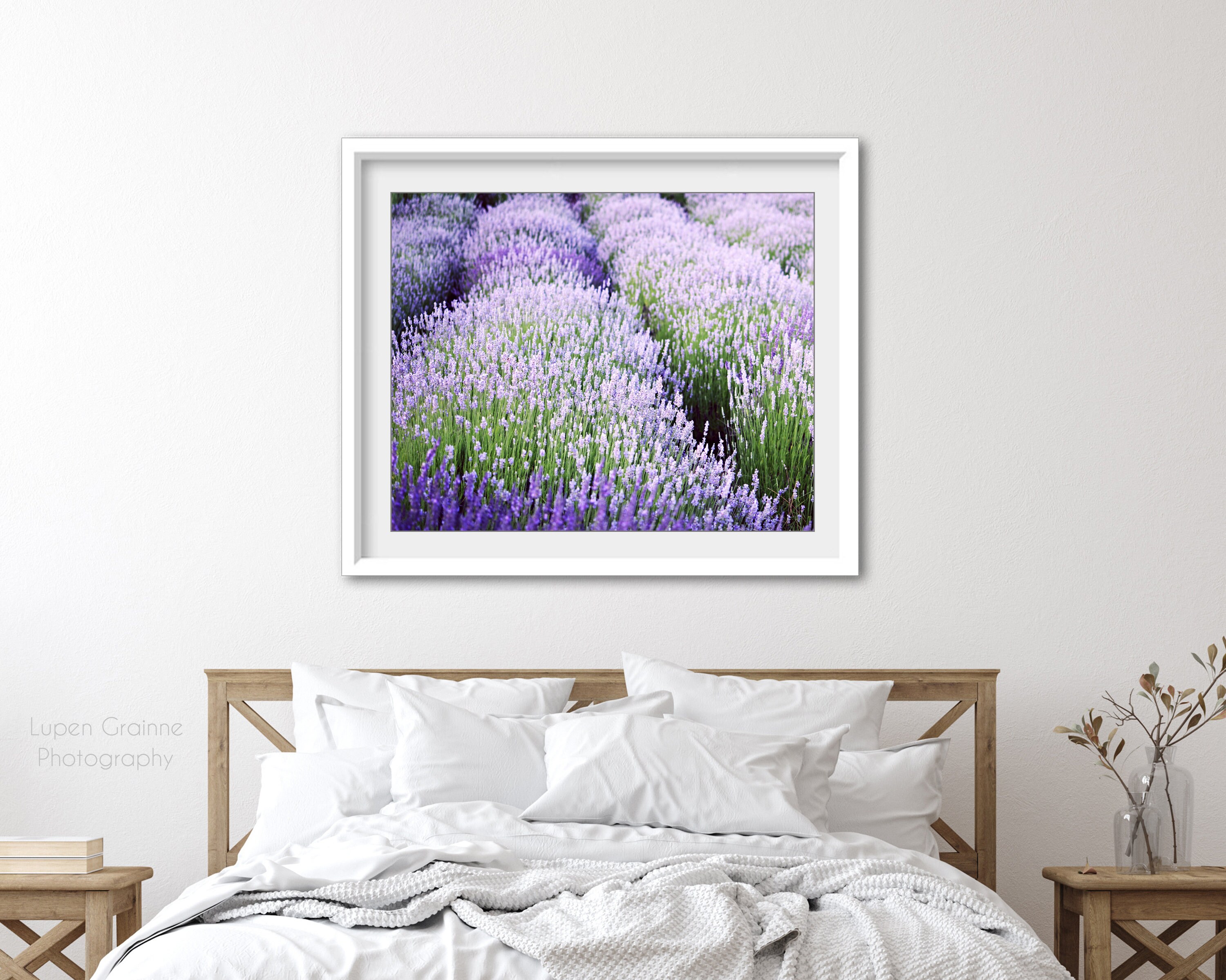 Lavender Field Print Purple Green Wall Art Nature Etsy
