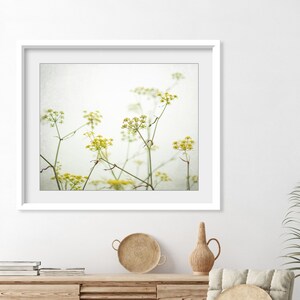 Yellow Flower Photography Fennel Print Botanical Print, Minimal Nature Photography, Floral Wall Art, Yellow Wildflowers, 8x10 16x20 Print image 4