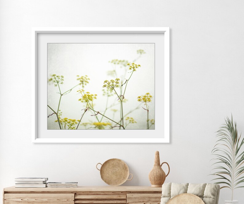 Yellow Flower Photography Fennel Print Botanical Print, Minimal Nature Photography, Floral Wall Art, Yellow Wildflowers, 8x10 16x20 Print image 4