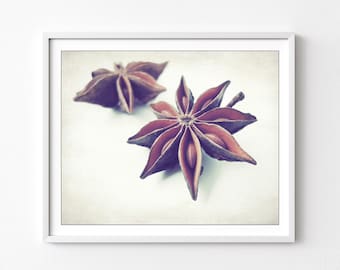 Star Anise Print Food Photography, Fresh Spices, Still Life Print, Farmhouse Kitchen Wall Art, Neutral Wall Art, 5x7 8x10 Print