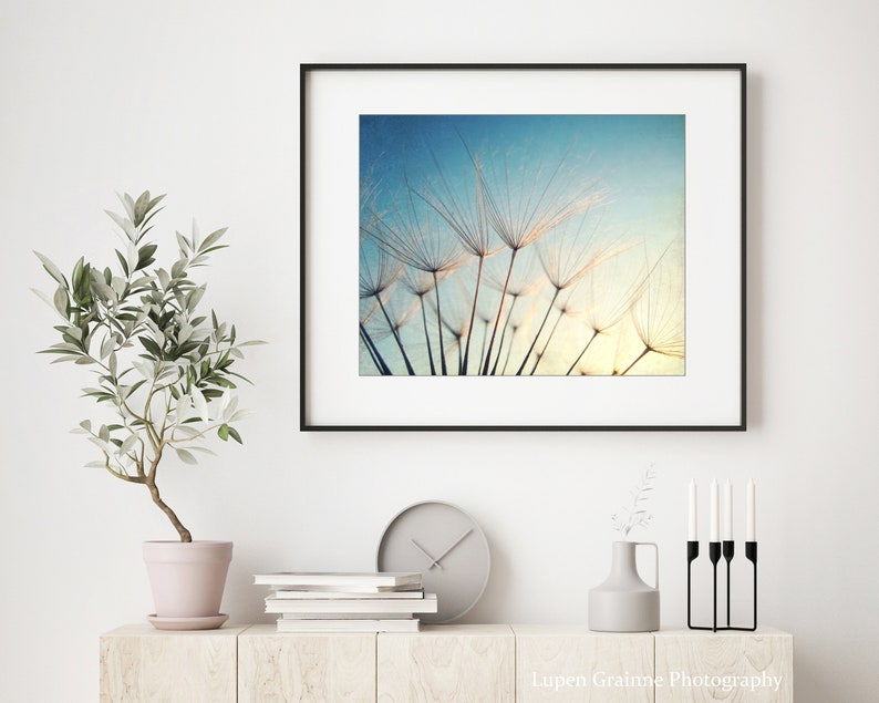 Blue Nature Photography Dandelion Print, Botanical Photography, Blue Gold Beige Wall Art, , Bedroom Wall Art, Fine Art Photography Print image 4