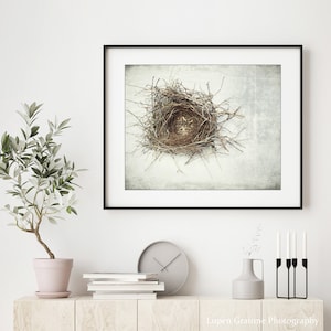 Bird Nest Print Nature Photography, Rustic Wall Art, Minimal Modern Still Life Photography, Neutral Farmhouse Decor, Gray Brown, Art Print image 2