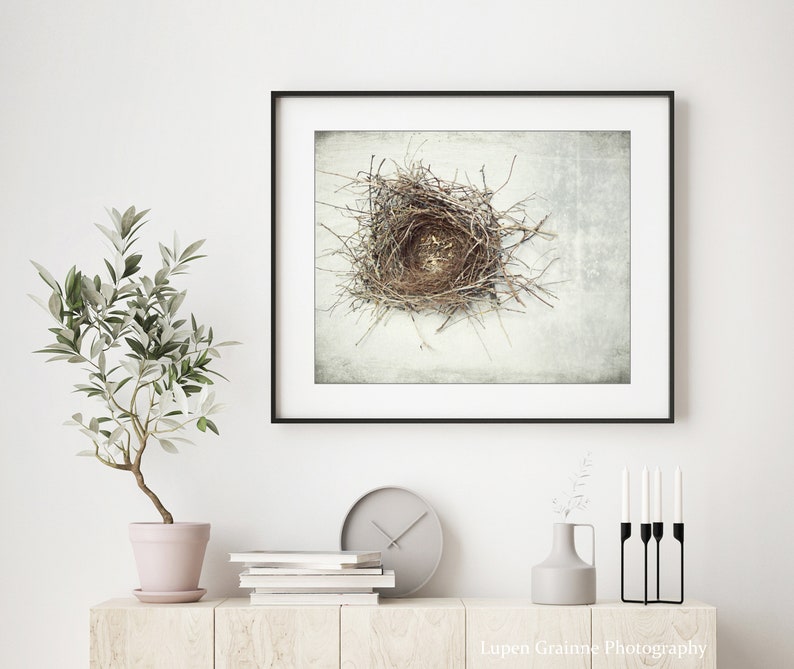 Bird Nest Print Nature Photography, Rustic Wall Art, Minimal Modern Still Life Photography, Neutral Farmhouse Decor, Gray Brown, Art Print image 2