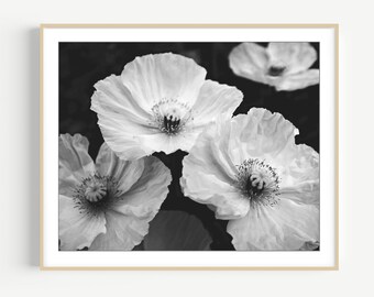 Poppy Flowers Black and White Photography - Floral Wall Art, Nature Photography, 8x10 16x20, Botanical Art Print