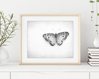 Butterfly Print - Black and White Photography, Minimalist Modern Decor, Nature Photography, Contemporary, 8x10 8x12 11x14 Print
