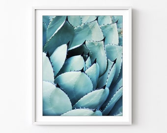 Agave Leaves Print Botanical Art Cactus Print, Nature Photography, Turquoise Wall Art, Desert Style Decor, 8x10 16x20, Southwest Decor