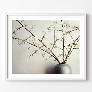 Flower Still Life Photograph, White Plum Blossoms, Zen Style, Silver Gray Wall Art, Gray Kitchen Decor, 8x10 16x20, Dining Room Wall Art