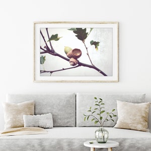 Acorn Photography, Oak Tree Branch Print, Neutral Wall Art, Autumn Fall Photography, Minimal Rustic Still Life Photography, 8x10 11x14 12x16 image 5