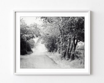 Country Road Print, Black and White Photography, Tree Wall Art, California, Landscape Photography, Road Trip // Misty Road