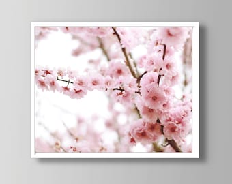 May include: A framed wall art print featuring a close-up view of delicate light pink cherry blossom flowers blooming on thin brown branches. The composition captures a dense cluster of soft petals against a bright, out-of-focus white background.