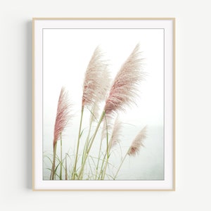 Pampas Grass Print Nature Photography Print, Coastal Wall Art, Home Decor, Beach Grass Print, Beach Living Room Art image 7