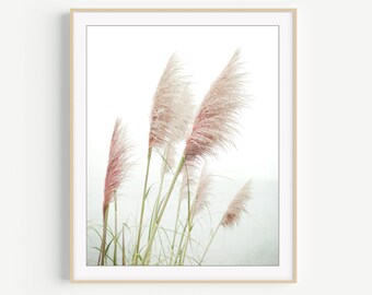 Pampas Grass Print - Nature Photography Print, Coastal Wall Art, Home Decor, Beach Grass Print, Beach Living Room Art