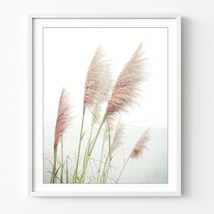 Pampas Grass Print Nature Photography Print, Coastal Wall Art, Home Decor, Beach Grass Print, Beach Living Room Art image 1