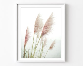 Pampas Grass Print - Nature Photography Print, Coastal Wall Art, Home Decor, Beach Grass Print, Beach Living Room Art