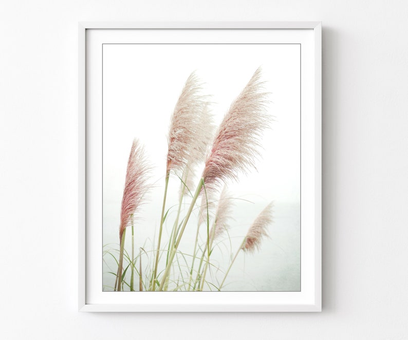 Pampas Grass Print Nature Photography Print, Coastal Wall Art, Home Decor, Beach Grass Print, Beach Living Room Art image 1