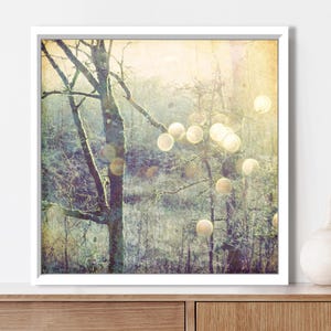 Woodland Photograph - Sage Green Olive Decor Dreamy Nature Tree Wall Art Golden Sun Flare Sparkle Bokeh Print, 5x5 8x8, Into the Mystic