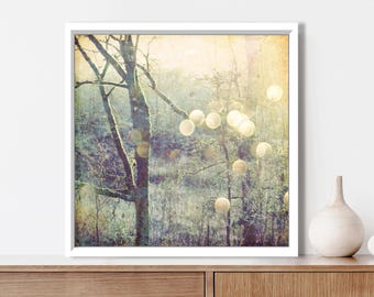 Woodland Photograph - Sage Green Olive Decor Dreamy Nature Tree Wall Art Golden Sun Flare Sparkle Bokeh Print, 5x5 8x8, Into the Mystic