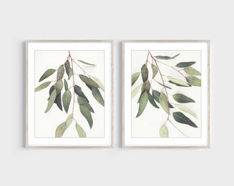 Eucalyptus Leaves, Set of Two Prints, Botanical Wall Art, Leaves Nature Print Set, Sage Green White, Still Life Photography Prints