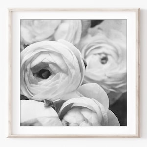 Flower Photography Set of 12 Prints Black and White Photography, Botanical Prints, Floral Wall Art, Gallery Wall Set, 5x5 8x8 Prints imagem 5