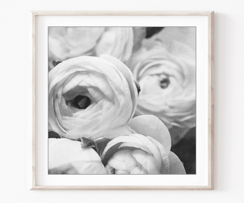 Flower Photography Set of 12 Prints Black and White Photography, Botanical Prints, Floral Wall Art, Gallery Wall Set, 5x5 8x8 Prints imagem 5