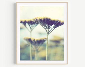 Yarrow Flowers Print - Nature Photography, Sage Green, Mustard Yellow Wall Art, Floral Wall Art, Flower Photography, 8x10 11x14 Print