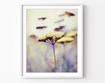 Yarrow Flowers Botanical Print - Flower Photography, Mustard Yellow Pale Purple, Nature Photography, 5x7 8x10, Wildflower Floral Wall Art