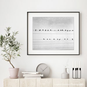 Birds on Wires Print Fine Art Photography, Black and White Wall Art, Abstract Modern Decor, 8x10 16x20 Minimal Art Print Black and White