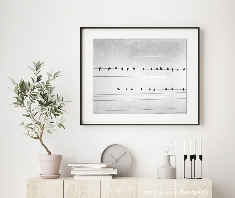 Birds on Wires Print Fine Art Photography, Black and White Wall Art, Abstract Modern Decor, 8x10 16x20 Minimal Art Print Black and White