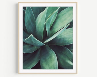 Green Agave Print - Botanical Wall Art, Photography Print, Plant Leaves Print, Nature Photography, 8x10 11x14 Print, Southwest Wall Decor