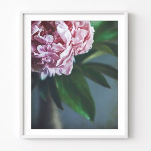 Peony Photograph Floral Wall Art Flower Still Life Photography, Nature Photography, 8x10 16x20 Print