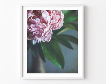 Peony Photograph Floral Wall Art Flower Still Life Photography, Nature Photography, 8x10 16x20 Print