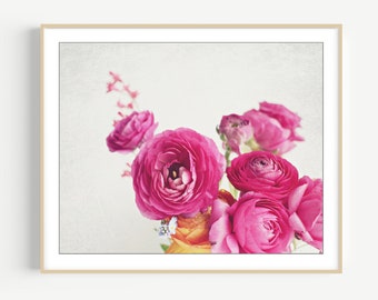 Flower Photography - Botanical Wall Art, Flower Still Life Print, Floral Wall Art, Ranunculus Flowers, Bedroom Wall Art, Pink White Print