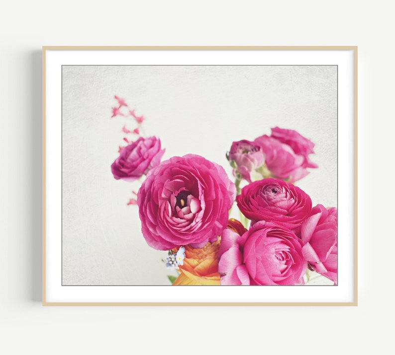 Flower Photography Botanical Wall Art, Flower Still Life Print, Floral Wall Art, Ranunculus Flowers, Bedroom Wall Art, Pink White Print image 1