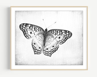 Butterfly Print - Black and White Nature Photography, Kids Room Wall Art, Insect Photograph, Nature Wall Art, Natural History