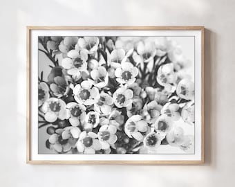 Flower Art, Photography Print, Black and White Photography, Floral Bedroom Wall Art, Monochrome Flower Wall Art, 8x10 11x14 18x24 Print