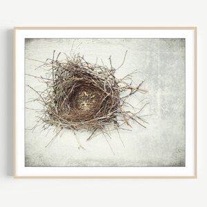 Bird Nest Print Nature Photography, Rustic Wall Art, Minimal Modern Still Life Photography, Neutral Farmhouse Decor, Gray Brown, Art Print image 1