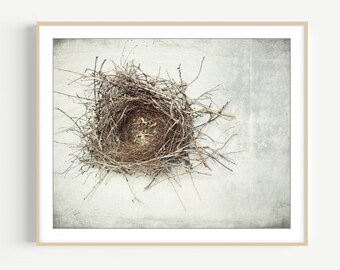 Bird Nest Print - Nature Photography, Rustic Wall Art, Minimal Modern Still Life Photography, Neutral Farmhouse Decor, Gray Brown, Art Print