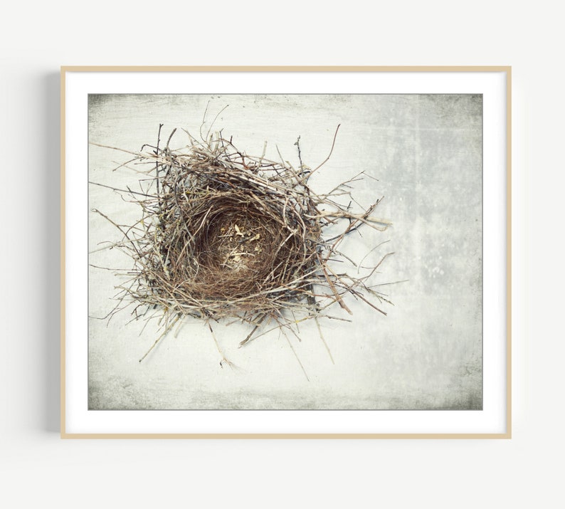 Bird Nest Print Nature Photography, Rustic Wall Art, Minimal Modern Still Life Photography, Neutral Farmhouse Decor, Gray Brown, Art Print image 1