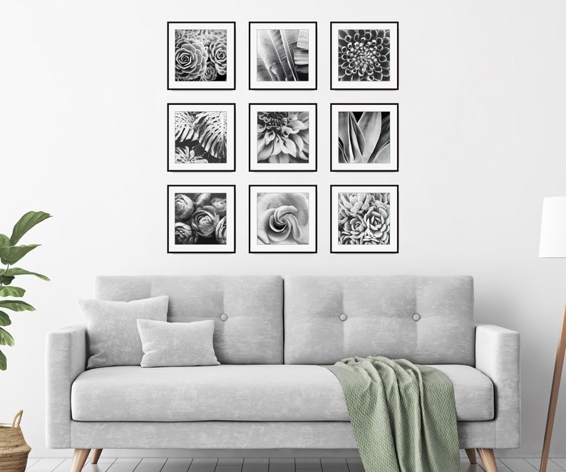 Conjunto de impresión botánica, fotografía en blanco y negro, hojas de flores, conjunto de 9 impresiones, fotografía de naturaleza, conjunto de pared de galería, impresiones 5x5 8x8 imagen 1