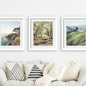 Rustic Coastal Landscapes Set of Three Prints, Coastal Wall Art, Living Room Decor, Nature Photography, Gallery Wall, 8x10 11x14 Prints