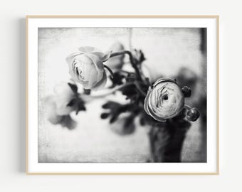 Ranunculus Flower Print Black and White Still Life Photography Wall Art Print