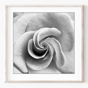 Conjunto de impresión botánica, fotografía en blanco y negro, hojas de flores, conjunto de 9 impresiones, fotografía de naturaleza, conjunto de pared de galería, impresiones 5x5 8x8 imagen 6