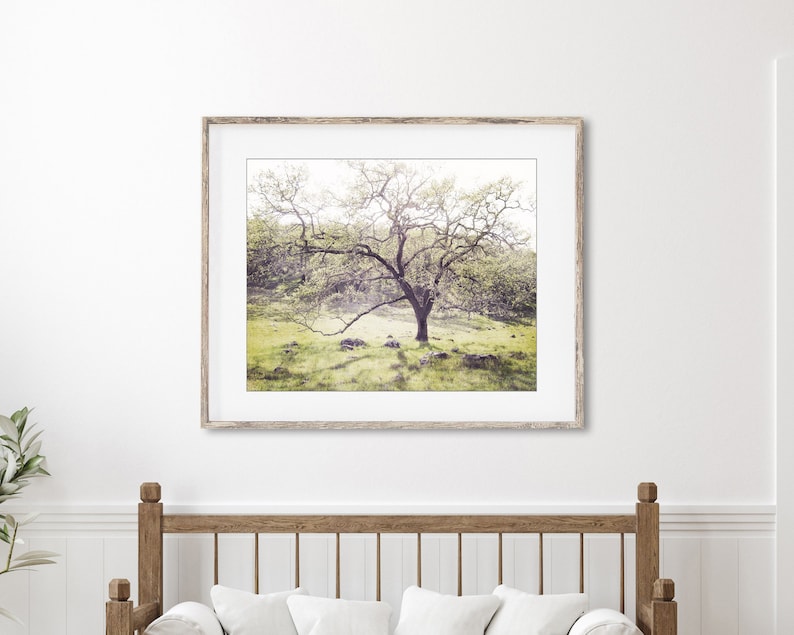 Oak Tree Landscape Print Landscape Photography, Dreamy Woodland Wall Art, Nature Photography Print, 8x10 16x20, Rustic Wall Art image 3