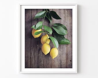 Lemons Print - Food Photography, Kitchen Wall Art, Fruit Still Life Photograph, Citrus Art Print, Country Rustic Dining Room Art 5x7 11x14
