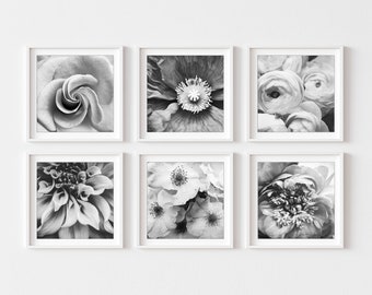 SALE Set of Six Prints Black and White Flower Photography, Floral Wall Art, Botanical Gallery Wall Set Bedroom Decor, 5x5 8x8 Flowers Prints