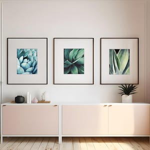 Agave Leaf Prints - Blue Green Wall Art, Botanical Nature Photography, Living Room Art, 8x10 11x14 Prints - Save 30% bild 3