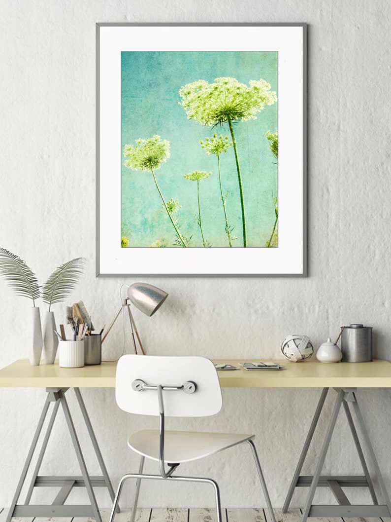Flower Photography Queen Anne's Lace Print, Floral Aqua Blue Green Wall Art, Nature Photography, 8x10 11x14, Wildflower Botanical Wall Art image 3