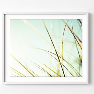 Beach Grass Botanical Print Pale Blue Green Wall Art, Nature Photography, Aqua Mint, Minimal Nature Wall Art, Beach Decor